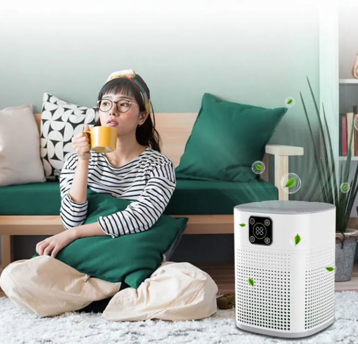 FurFresh  Digital Air Purifier