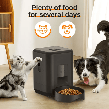 Automatic Pet Feeder - My Store