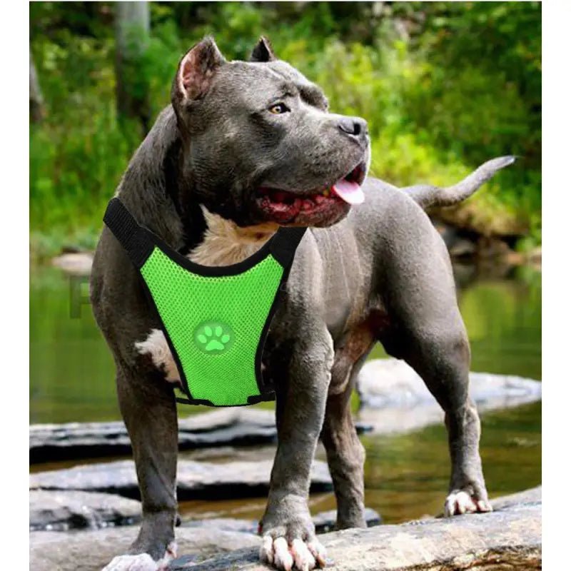 Dog supplies Breathable mesh chest straps Pet car safety chest back - My Store