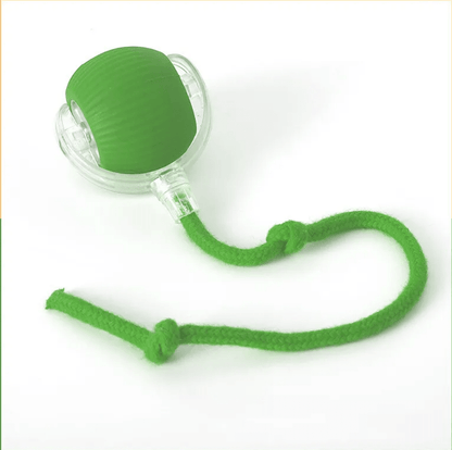 FurFresh cat interactive rolling toy - FurFresh Home