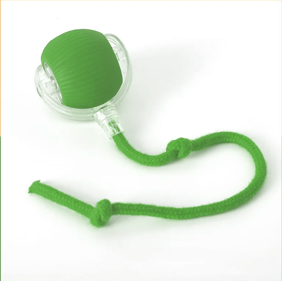 FurFresh cat interactive rolling toy - FurFresh Home