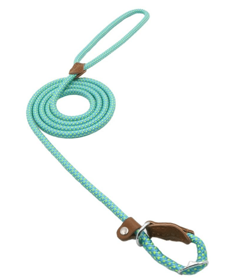 Nylon Pup Set - FurFresh Home