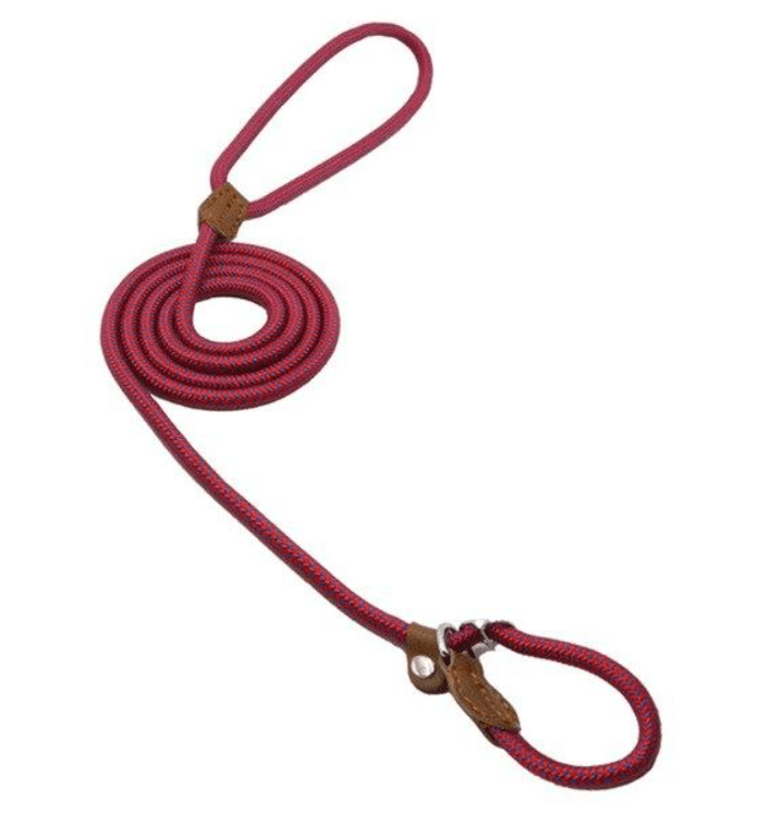 Nylon Pup Set - FurFresh Home