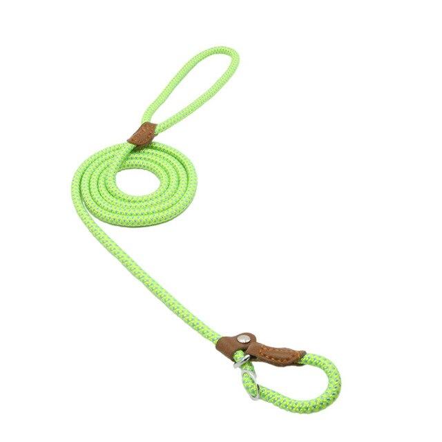 Nylon Pup Set - FurFresh Home