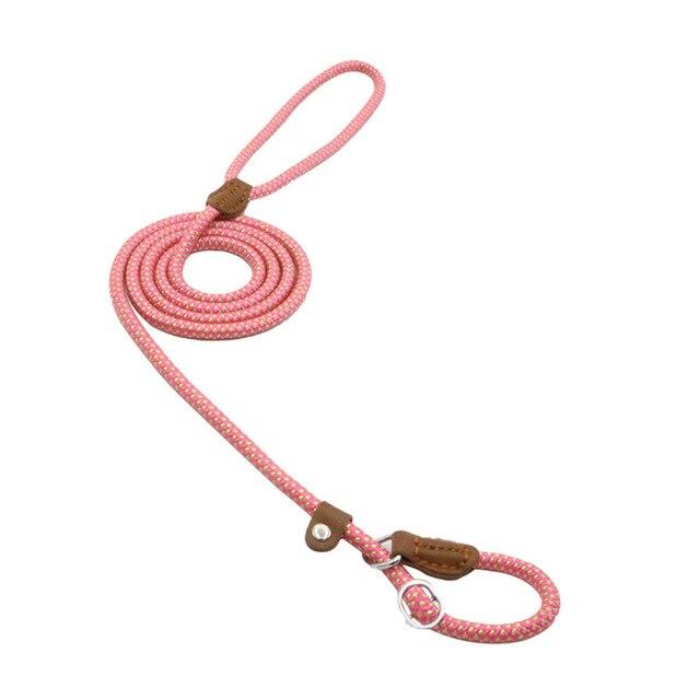 Nylon Pup Set - FurFresh Home