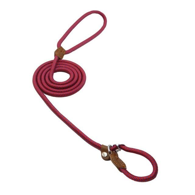 Nylon Pup Set - FurFresh Home
