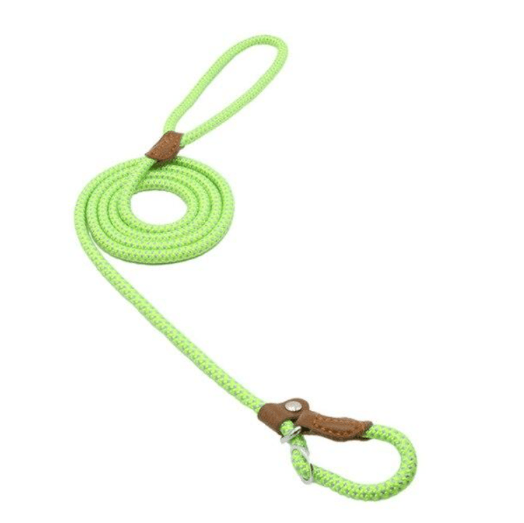 Nylon Pup Set - FurFresh Home