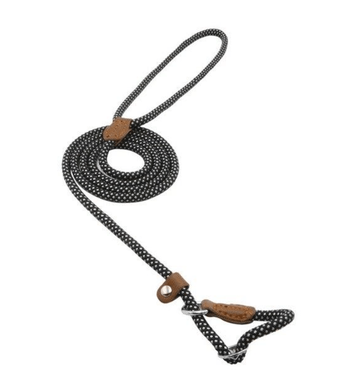 Nylon Pup Set - FurFresh Home