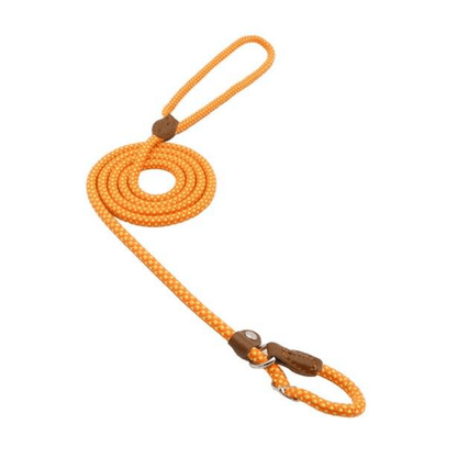 Nylon Pup Set - FurFresh Home