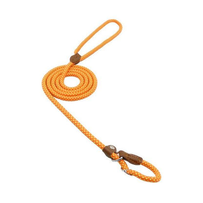 Nylon Pup Set - FurFresh Home