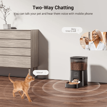 Smart Cat Feeder - My Store