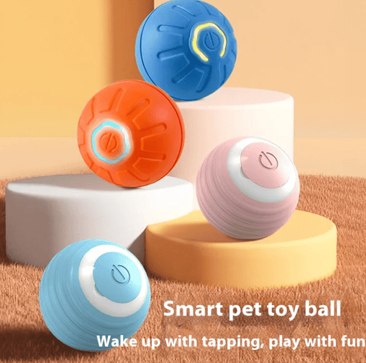 Smart Dog Toy Ball - My Store