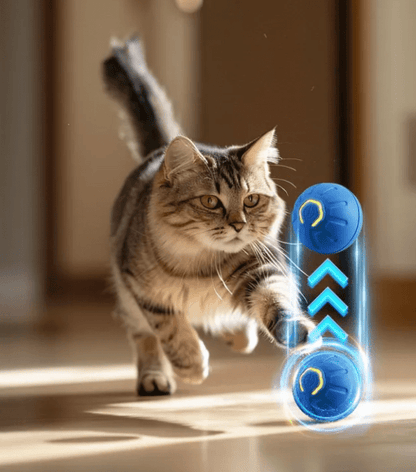 Smart Dog Toy Ball - My Store
